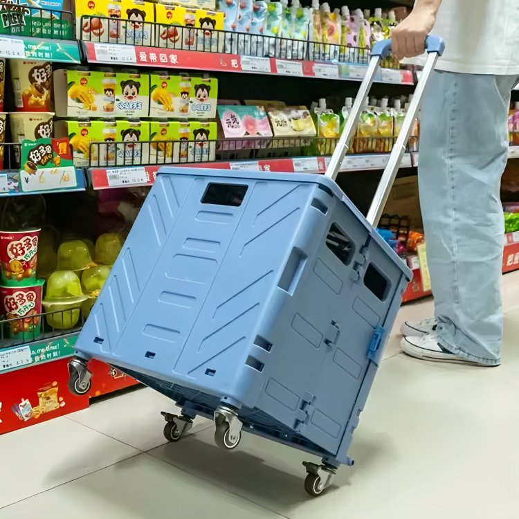 RamoraLift — Mühelos jede Stufe meistern und Rückenfreiheit genießen | Brehn