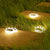 LunaShine — Verwandle deinen Garten in ein magisches Lichtparadies ohne Stromkosten! | Brehn