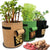 GrowMaster Pro — Mehr Power für deine Pflanzen, damit deine Ernte alle staunen lässt! | Brehn