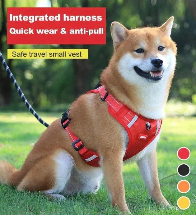 DogGrip Spazieren Sie mit Ihrem Hund sicher | Brehn