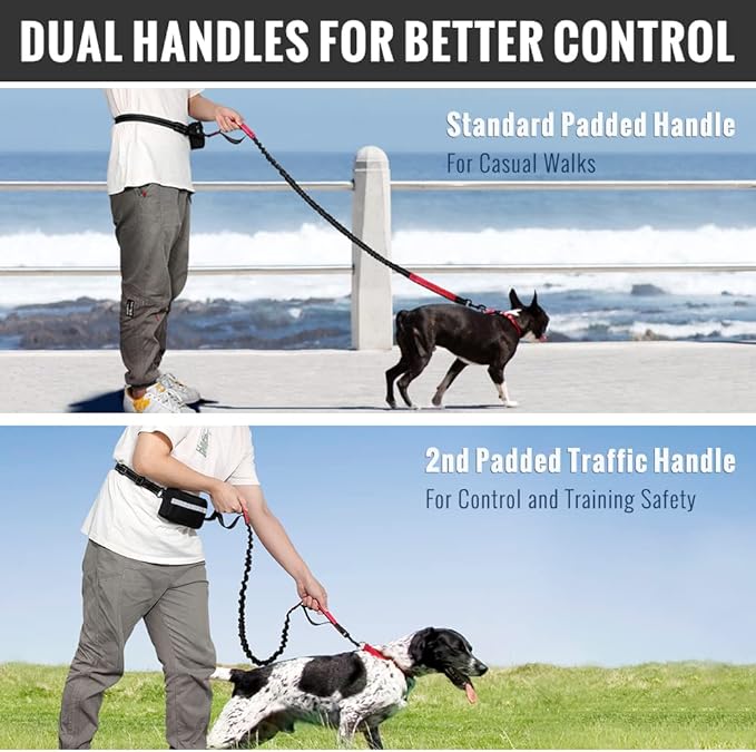 FlowLeash — Erleben Sie sanfte Kontrolle und entspannte Gassirunden ohne Rucke! | Brehn