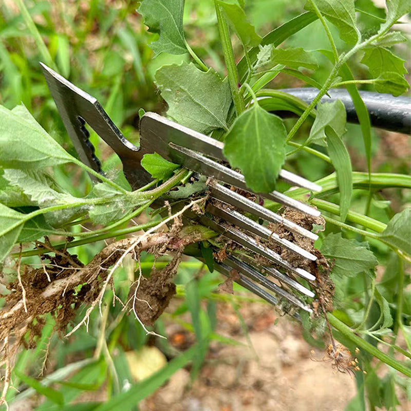 TerraClear — Befreit Ihren Garten mühelos von Unkraut und schenkt Ihnen grenzenlose Pflanzfreiheit | Brehn