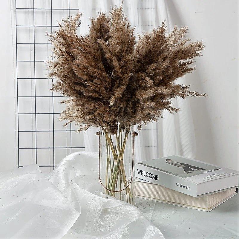 60 cm natürlich, echt, braun-beige getrockneter Pampasgrasstrauß │ flauschige Feder für moderne Boho-Haushaltsdekoration