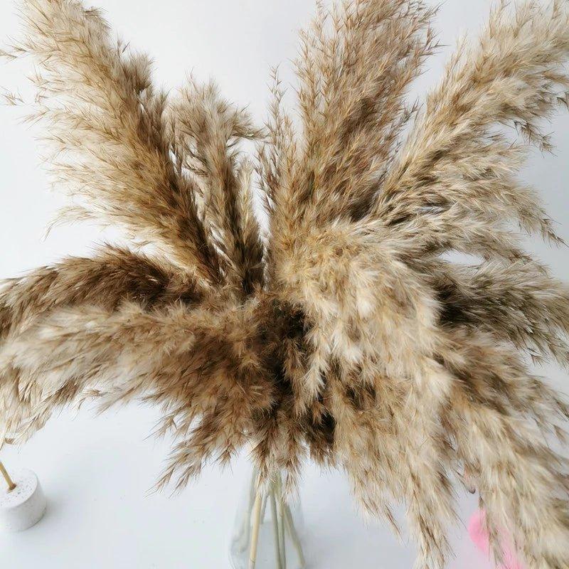 60 cm natürlich, echt, braun-beige getrockneter Pampasgrasstrauß │ flauschige Feder für moderne Boho-Haushaltsdekoration