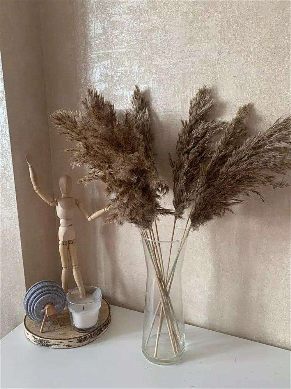 60 cm natürlich, echt, braun-beige getrockneter Pampasgrasstrauß │ flauschige Feder für moderne Boho-Haushaltsdekoration