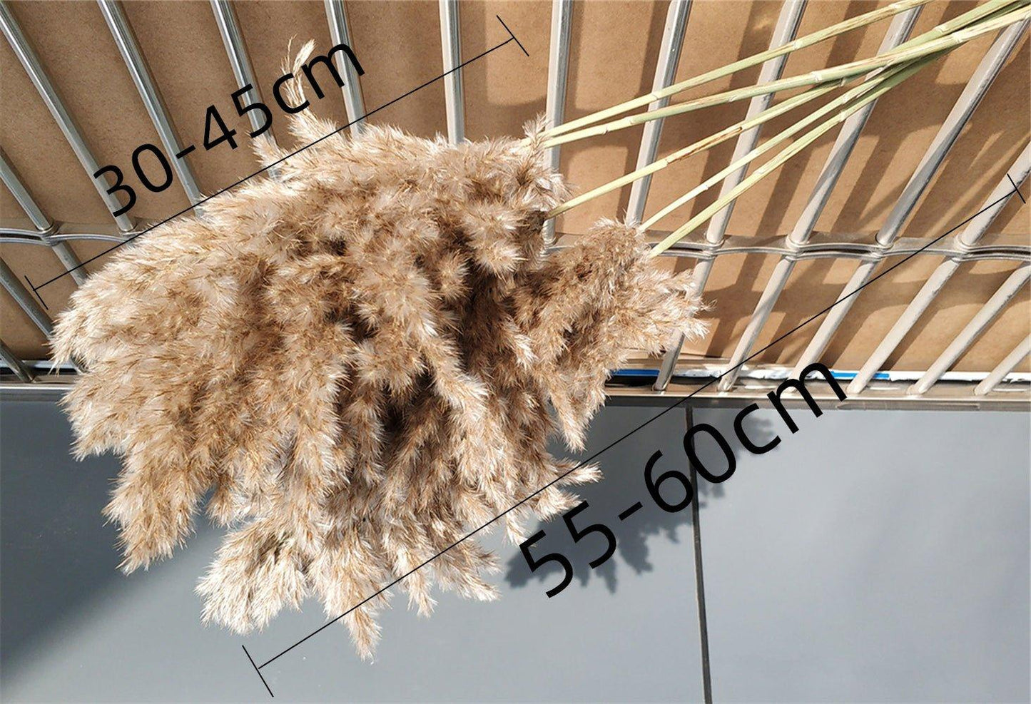 60 cm natürlich, echt, braun-beige getrockneter Pampasgrasstrauß │ flauschige Feder für moderne Boho-Haushaltsdekoration