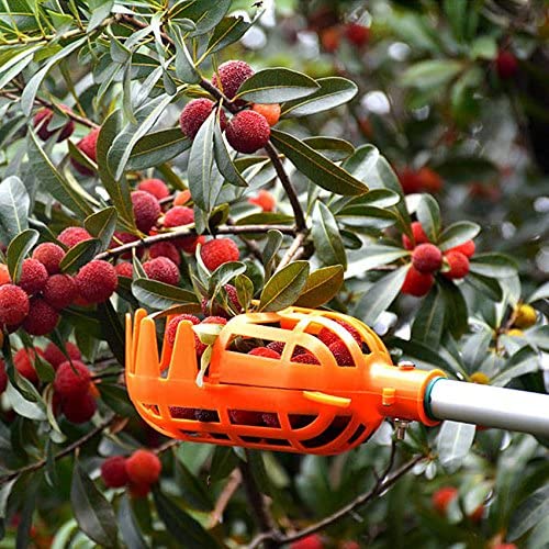 Fruit Picker | Brehn