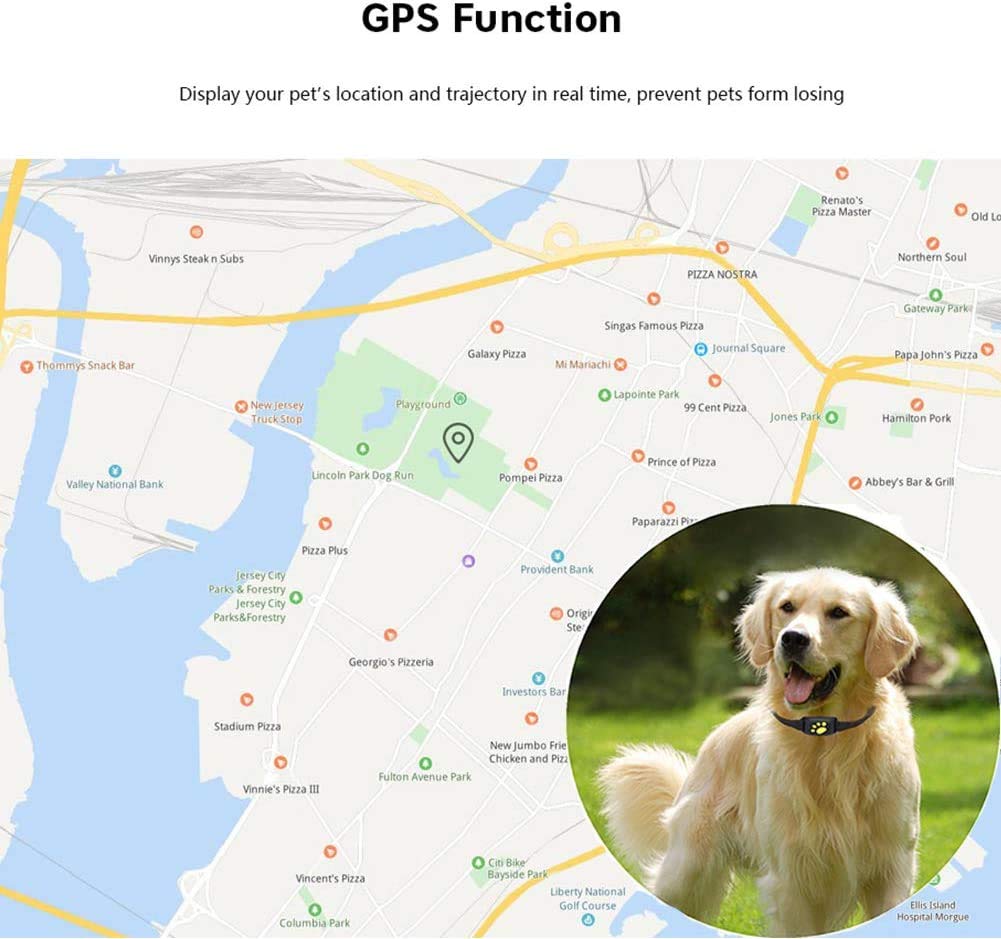 Intelligentes GPS-Haustierhalsband mit Echtzeit-Tracking, Geofencing-Warnungen und Schlafmodus für Katzen und Hunde