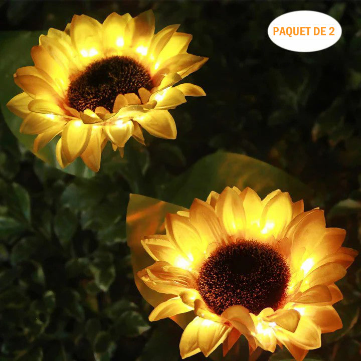 Sonnenblume Licht, 2-teilig | Brehn