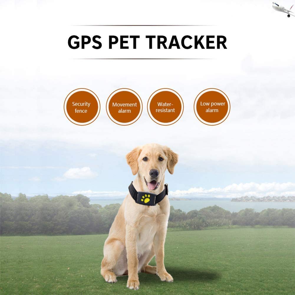 Intelligentes GPS-Haustierhalsband mit Echtzeit-Tracking, Geofencing-Warnungen und Schlafmodus für Katzen und Hunde