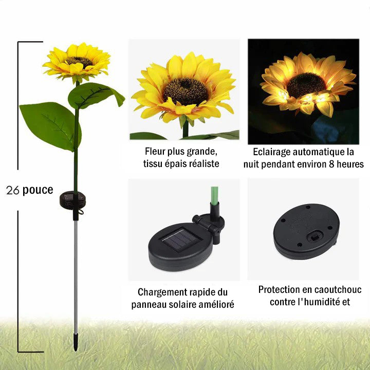 Sonnenblume Licht, 2-teilig | Brehn