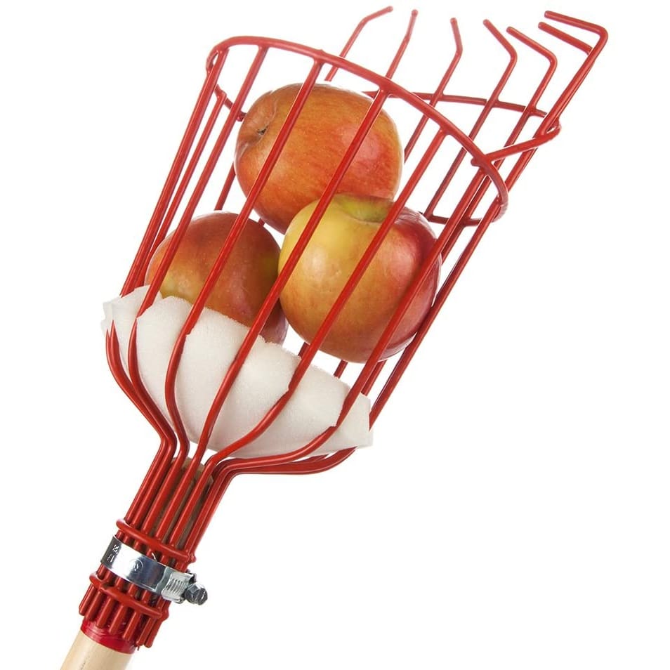Früchtepflücker Werkzeug | Brehn
