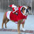Brehn | Santa Reiter Outfit