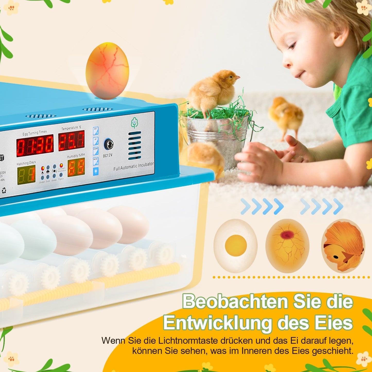 Brutautomat Vollautomatisch Inkubator für Hühner 64 Eier | Brehn