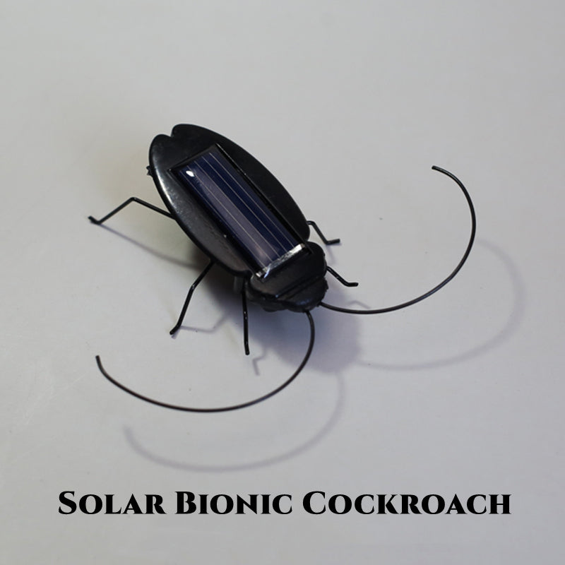 Brehn | Mini Solar-betriebene Kakerlaken Spielzeug