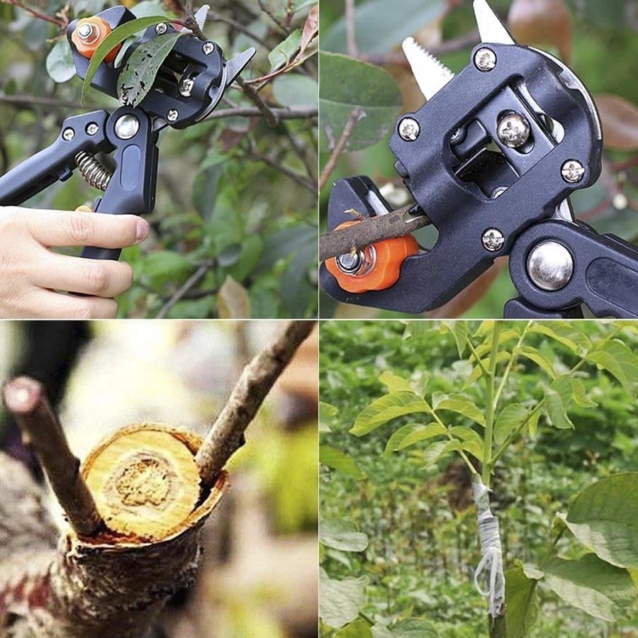 Gartenprofi Veredelungs-Schneidewerkzeug
