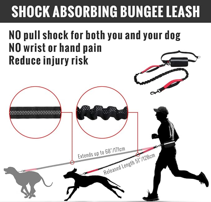FlowLeash — Erleben Sie sanfte Kontrolle und entspannte Gassirunden ohne Rucke! | Brehn
