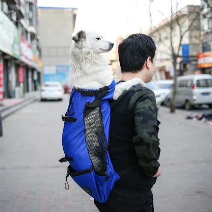 Hunderucksack – Tragetasche für Hunde mit Sicherheitsgurt, atmungsaktives Mesh, wasserabweisend, faltbar, mit Aufbewahrungstaschen