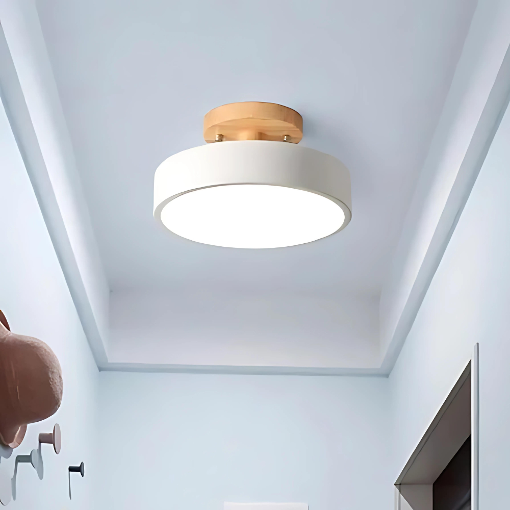 Brehn | Kompakte moderne LED-Deckenlampe