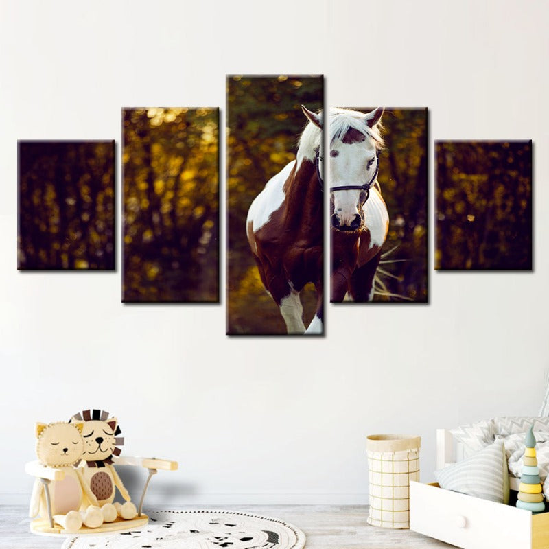 5-teilige Courtly Overo Pferd - Leinwand Wandkunst Gemälde