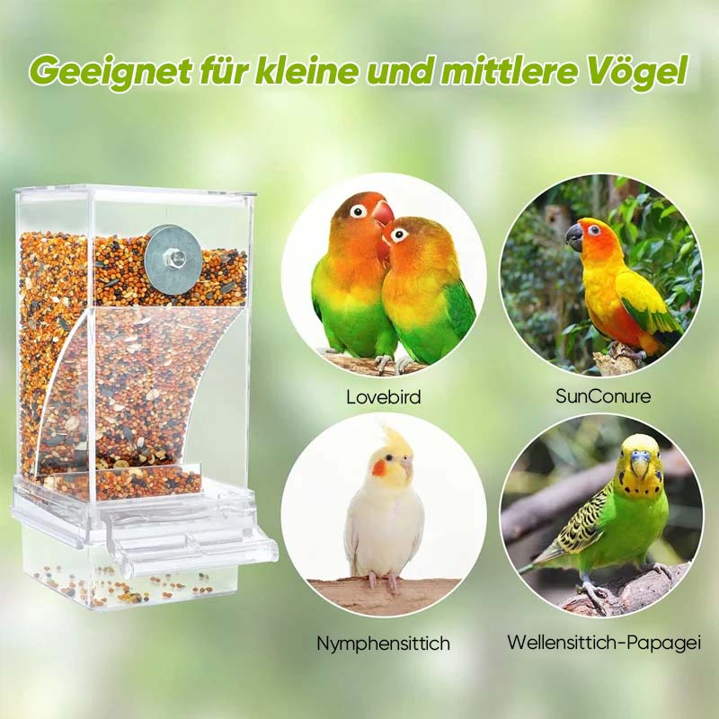 Automatischer, auslaufsicherer Vogelfutterspender | Brehn