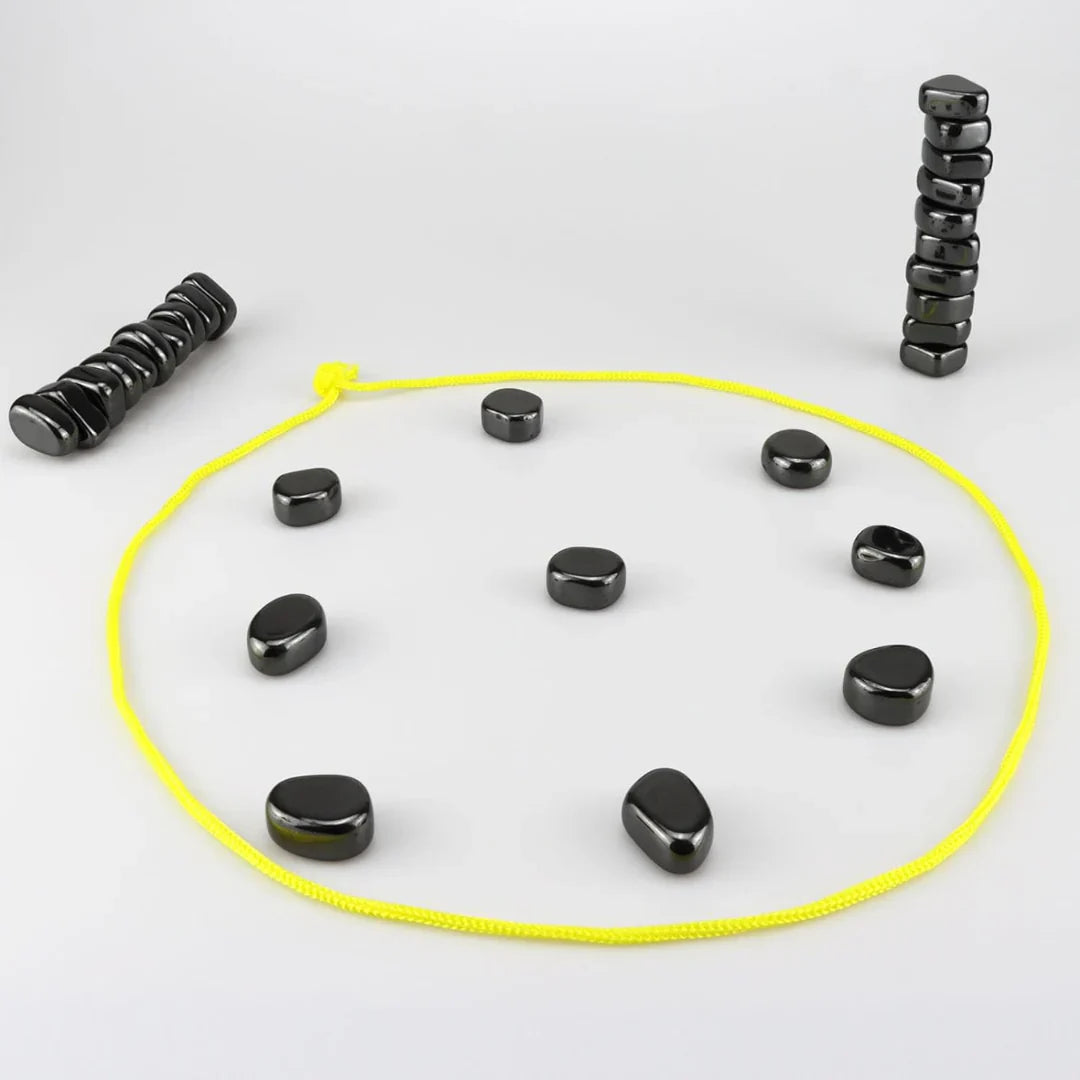 Brehn | Magnet Schach Familien Spiel