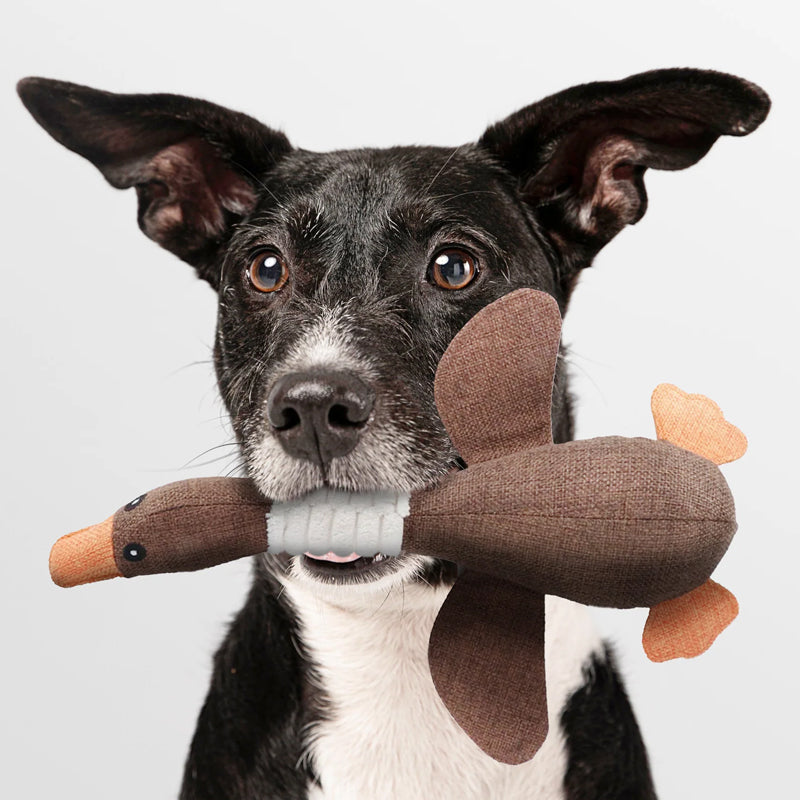 Unzerstörbares Hundespielzeug (1+1 GRATIS) - ToughGoose