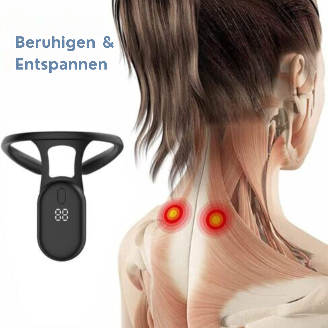Brehn | SpineAlign™ Wirbelsäulen-Wellness-Schutz