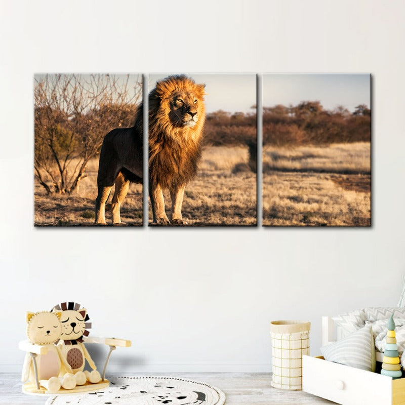Majestischer Löwe in Sonnenlicht gehüllt - Leinwand Wandkunst Gemälde 3 Teile