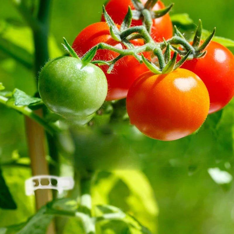 Teile - TigeStabilisatoren Stellen Sie sicher, dass Ihr Garten stabil und fest ist | Brehn