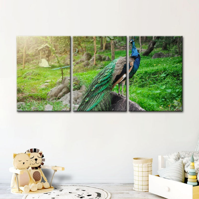 Würdevolles Sonnendurchflutetes Pfau-Leinwand Wandkunst Gemälde 3 Stück