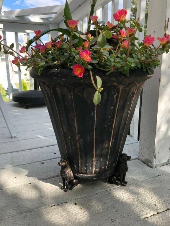 Brehn | PotStand Gesunde Wurzelunterstützung