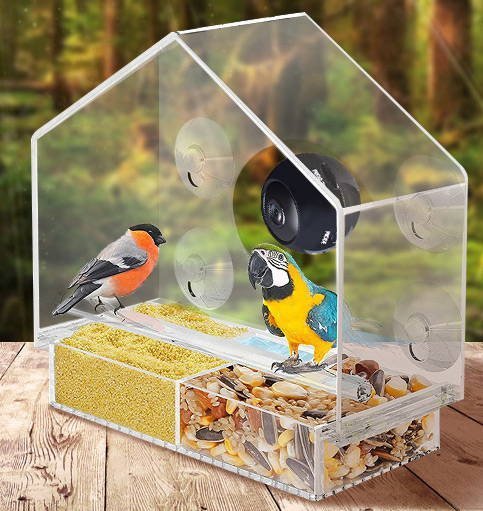 Smart Bird Feeder mit Live-Kamera | Brehn