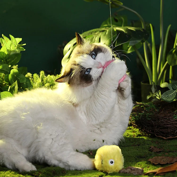 – Intelligenter interaktiver Plüschball für Katzen | 1 kaufen, 1 gratis dazu 🎁