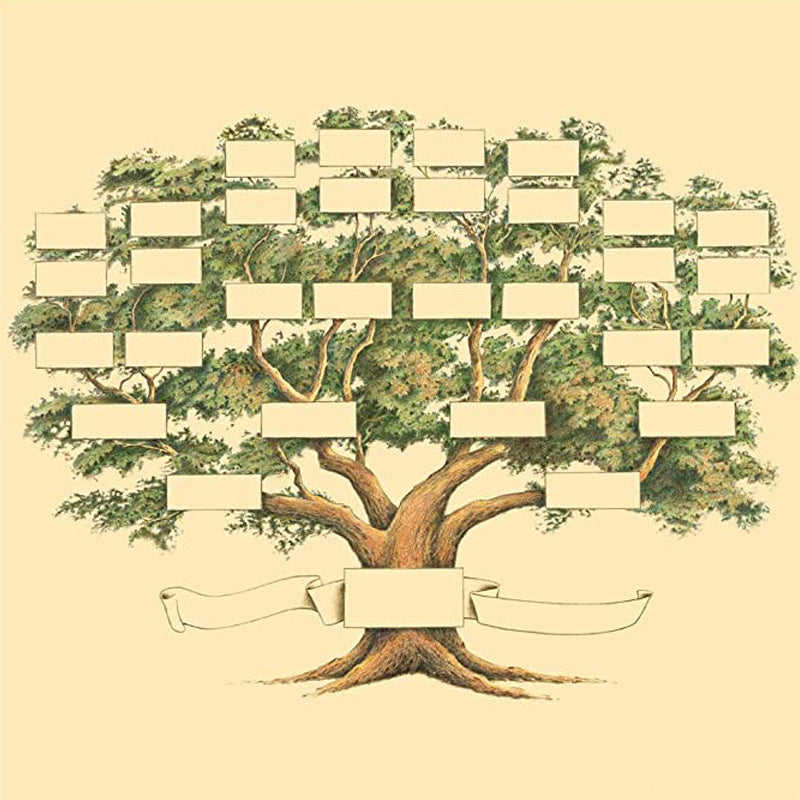 Familienstammbaum Genealogie Diagramm | Brehn
