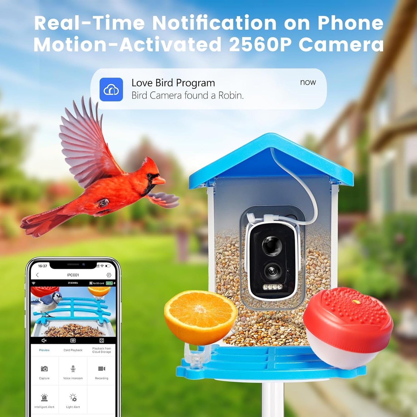 Smart Bird Feeder mit Solar-Kamera – KI-Vogelerkennung & Nachtsicht | Brehn