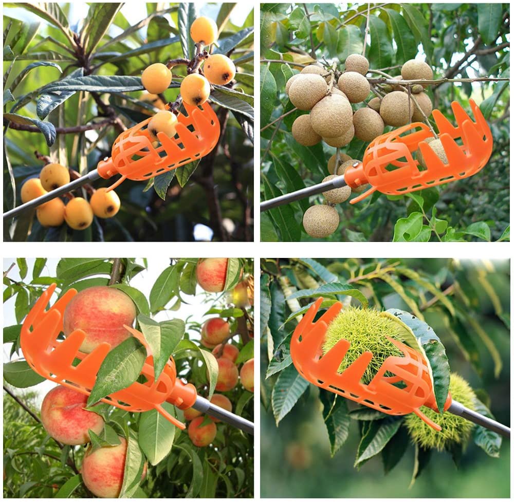 Fruit Picker | Brehn