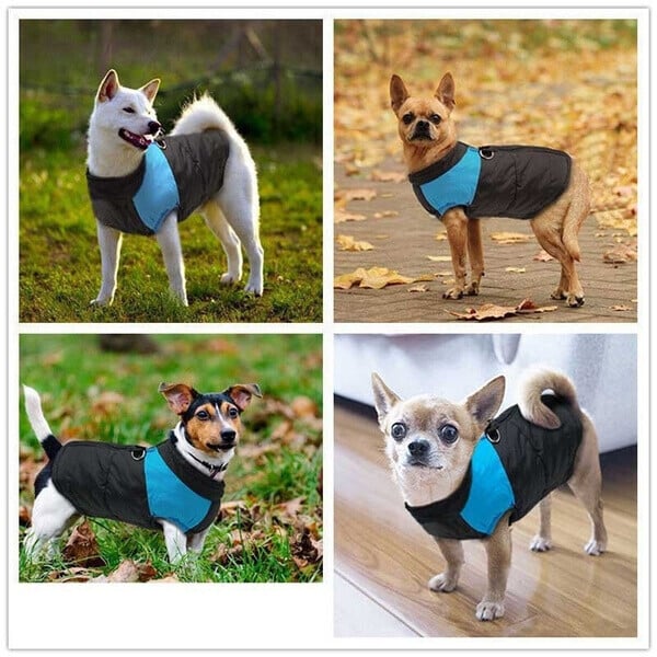 XXL Dog Vest Outdoor S-7XL | Warmer, Waterproof Dog Coat with Integrated Leash Attachment