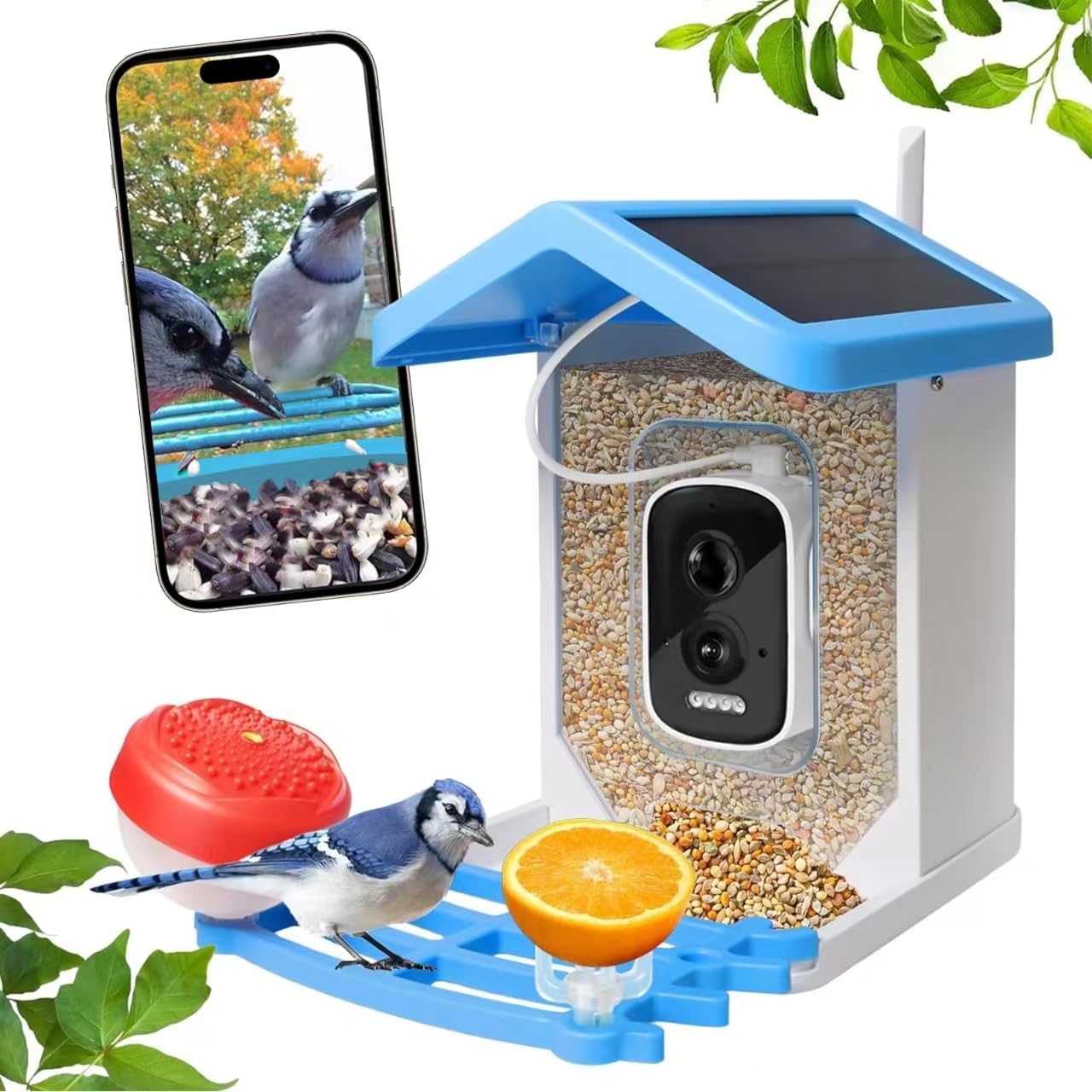 Smart Bird Feeder mit Solar-Kamera – KI-Vogelerkennung & Nachtsicht | Brehn