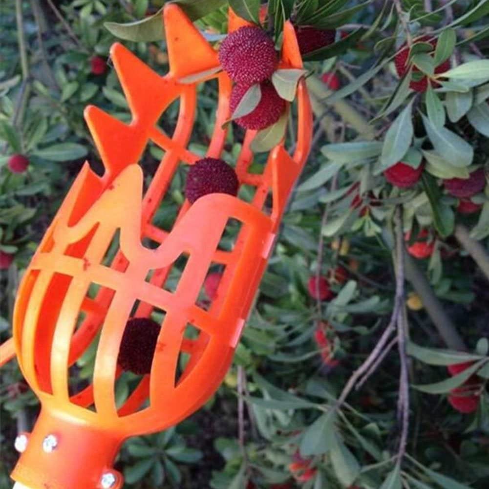 Fruit Picker | Brehn