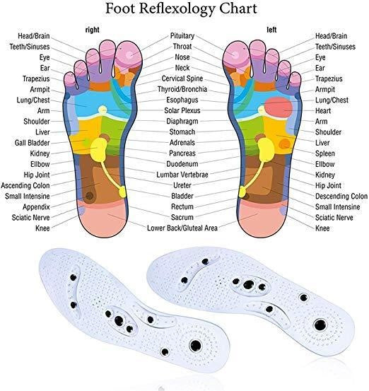 Acusoles® Magnetische Therapie-Einlegesohlen | Brehn