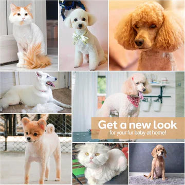 Hundefriseur-Scheren-Set