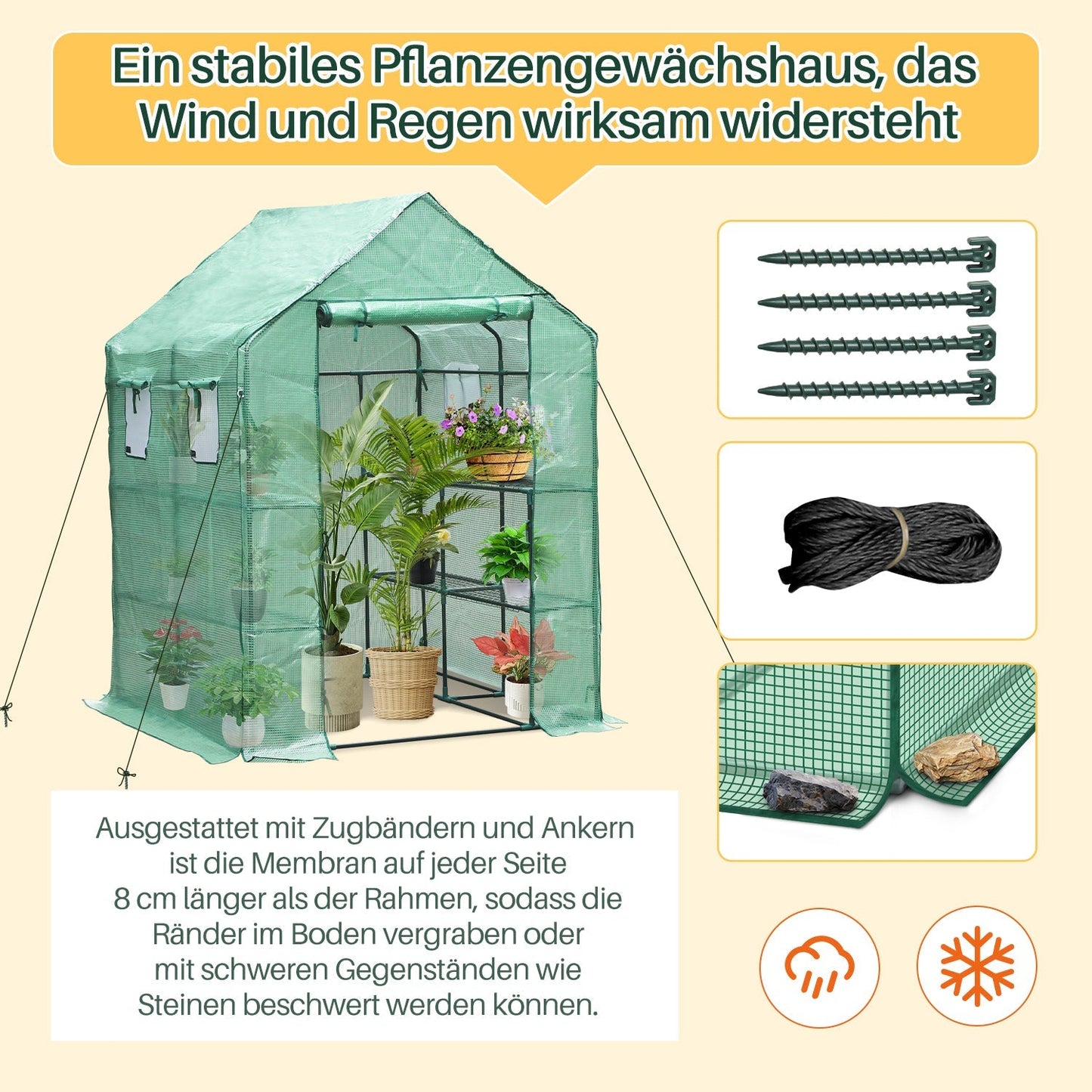 Gewächshaus Foliengewächshaus mit Regalen | Brehn