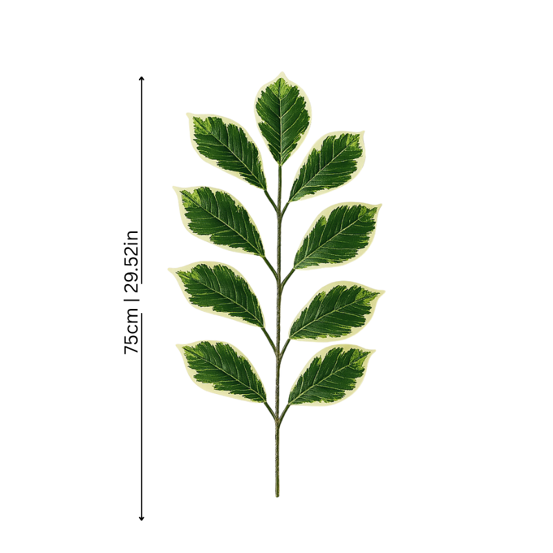 Brehn | FiggyFresh