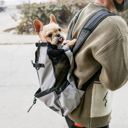 Hunderucksack – Tragetasche für Hunde mit Sicherheitsgurt, atmungsaktives Mesh, wasserabweisend, faltbar, mit Aufbewahrungstaschen