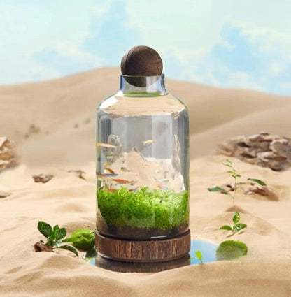 Micro Aquarium Kompakt Glas Ökologisches Fischbecken | Brehn