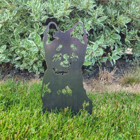Cairn Terrier | Brehn