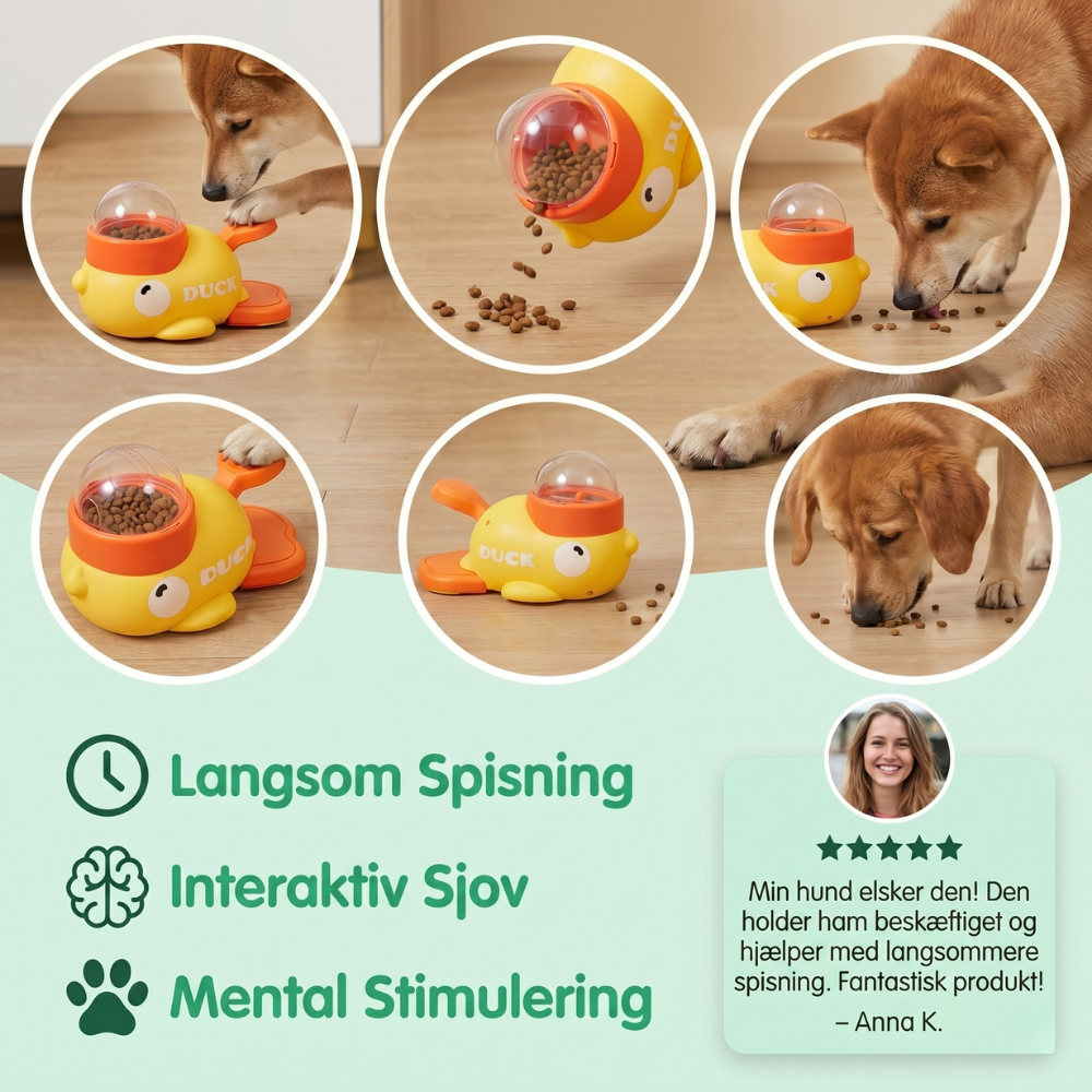 FeediDuck Slow Feeder für Hunde und Katzen | Brehn