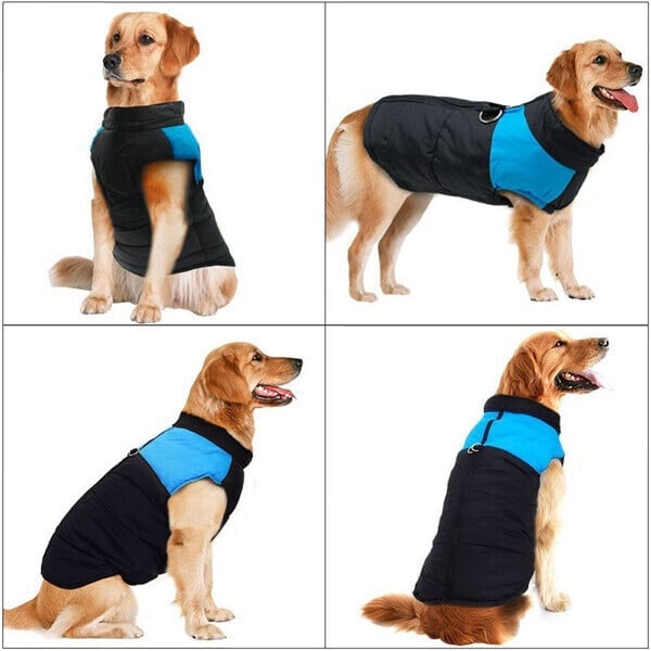 XXL Dog Vest Outdoor S-7XL | Warmer, Waterproof Dog Coat with Integrated Leash Attachment