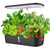 Innovatives Hydroponik-Anbausystem – 12 Pods Kit
